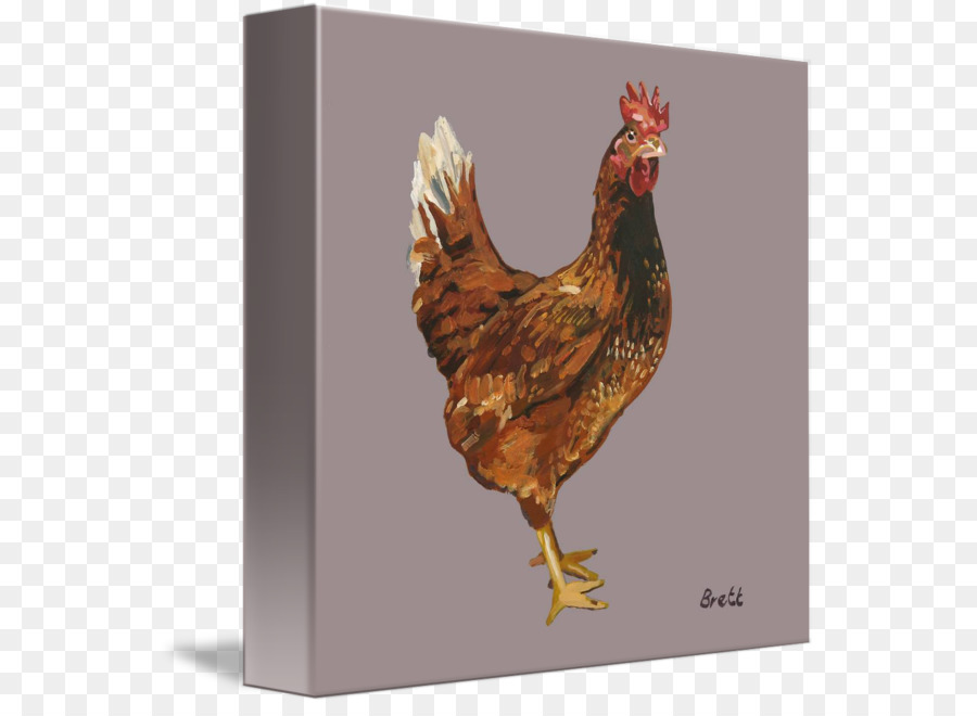 Galo，Frango Como Alimento PNG