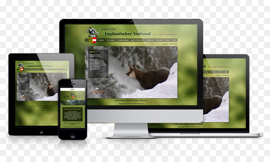 Responsive Web Design，Desenvolvimento Web PNG