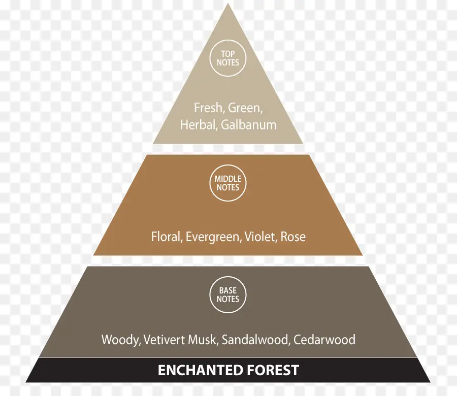 Pirâmide，Diagrama De PNG