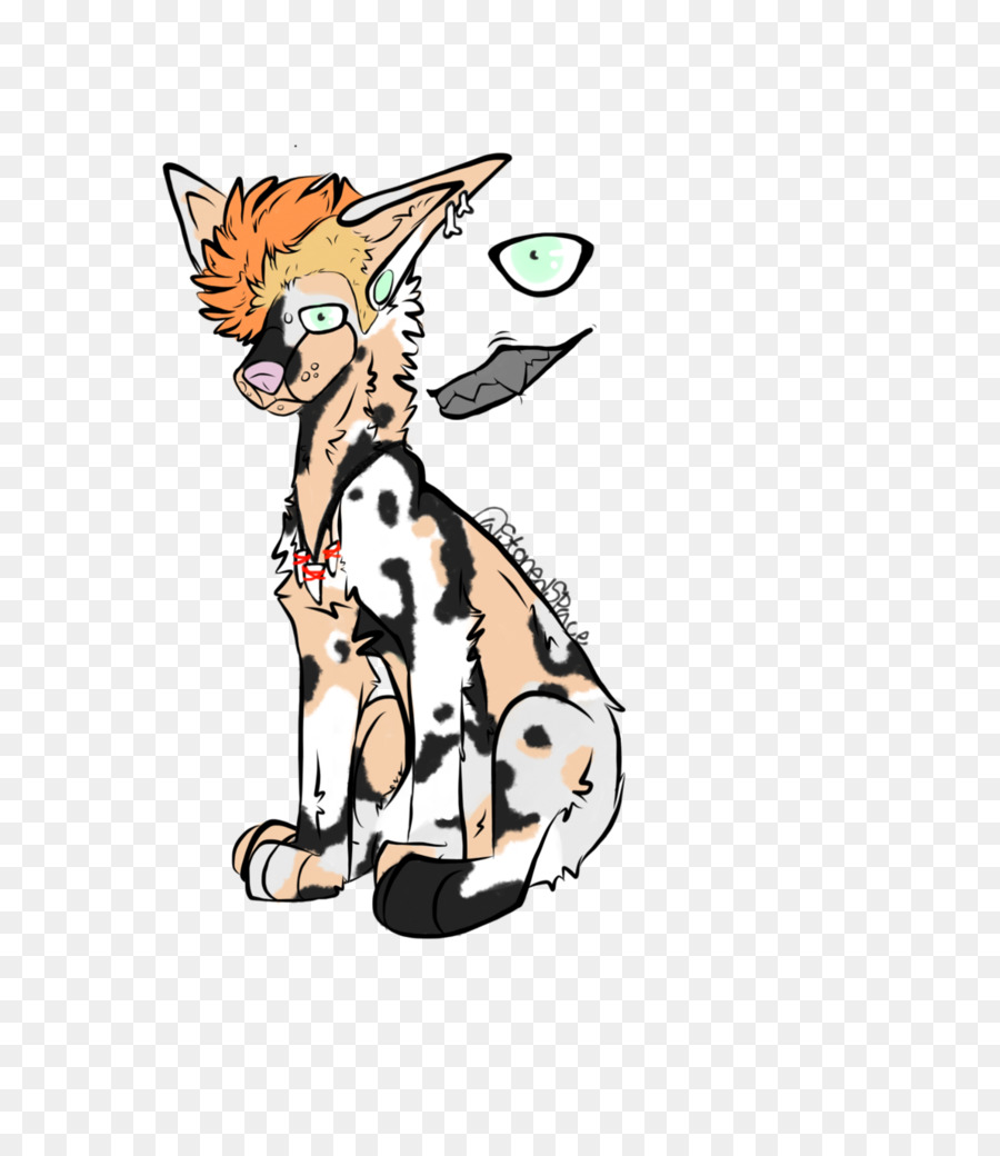 Gato，Cavalo PNG