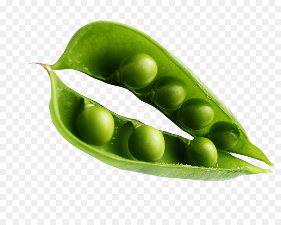 Ervilha De Cheiro，Edamame PNG