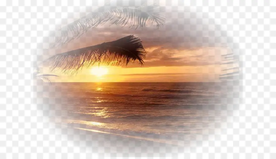 Pôr Do Sol，Sol PNG