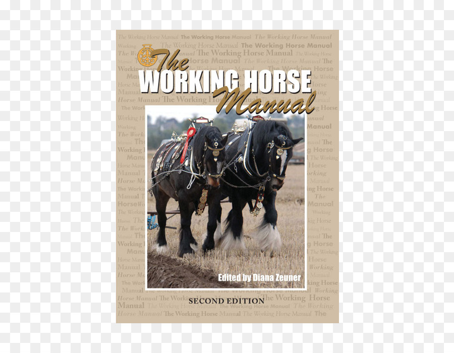 Garanhão，Trabalho Manual De Cavalo PNG