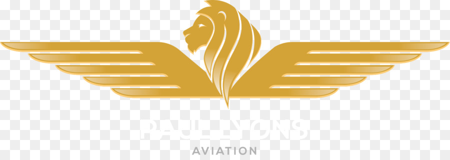 Paulo Lyons Aviação，Logo PNG