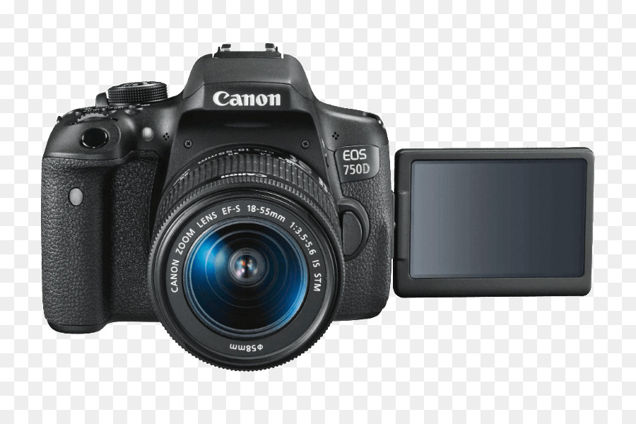 Canon Eos 80d，Canon Efs Montagem Da Lente PNG