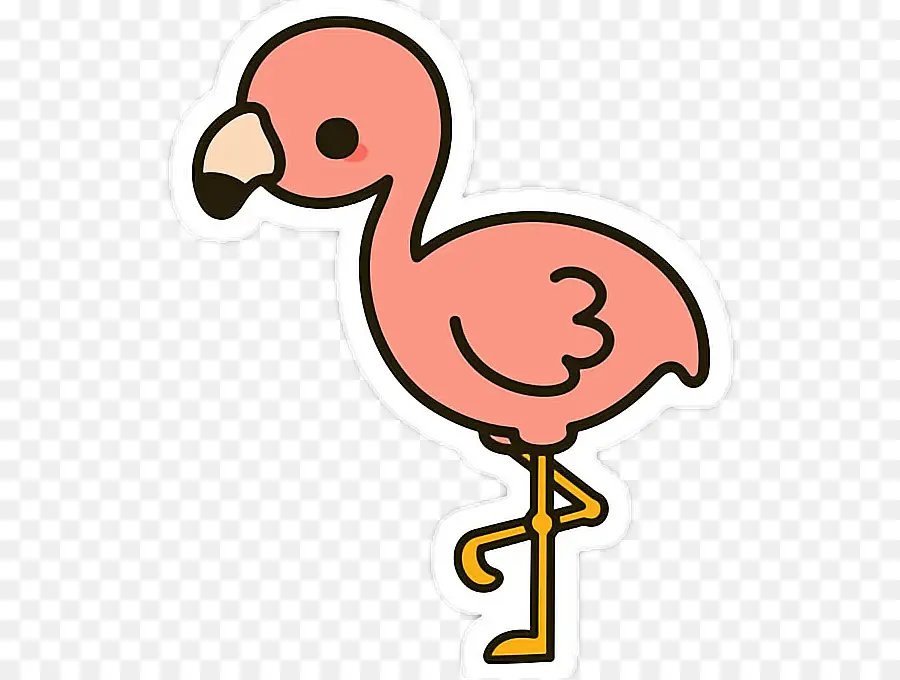 Flamingo，Pássaro Rosa PNG