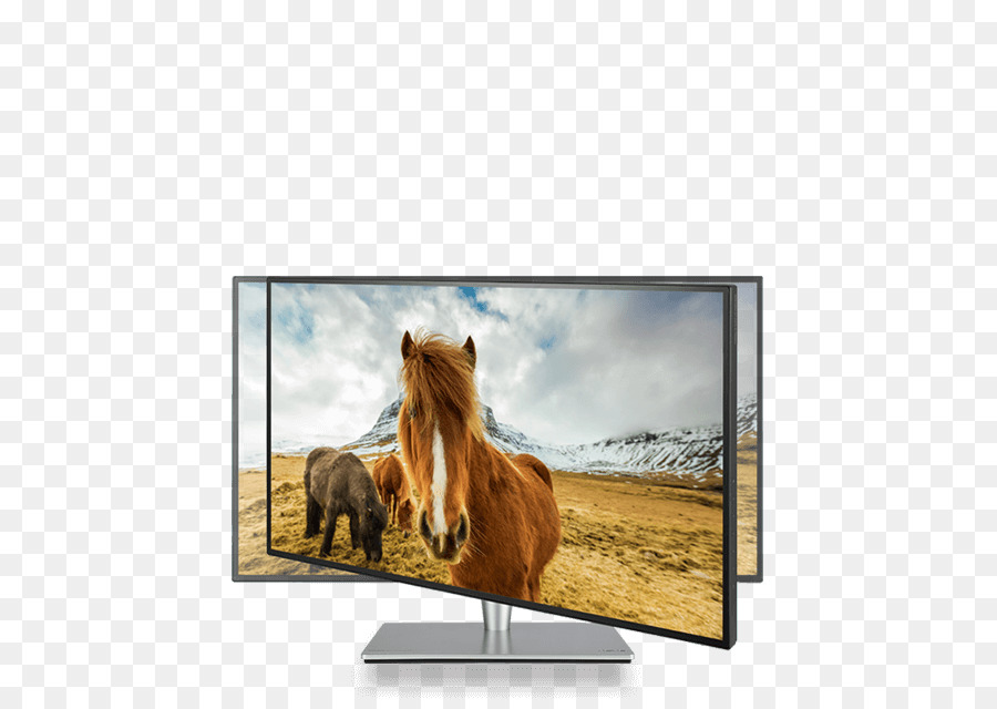 Monitores De Computador，Srgb PNG