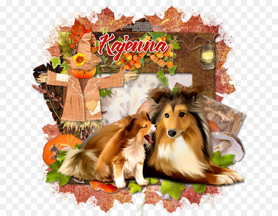 Rough Collie，Shetland Sheepdog PNG