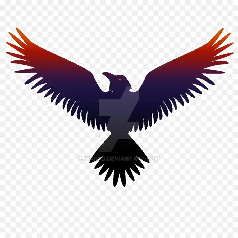 Baltimore Ravens，Comum Corvo PNG