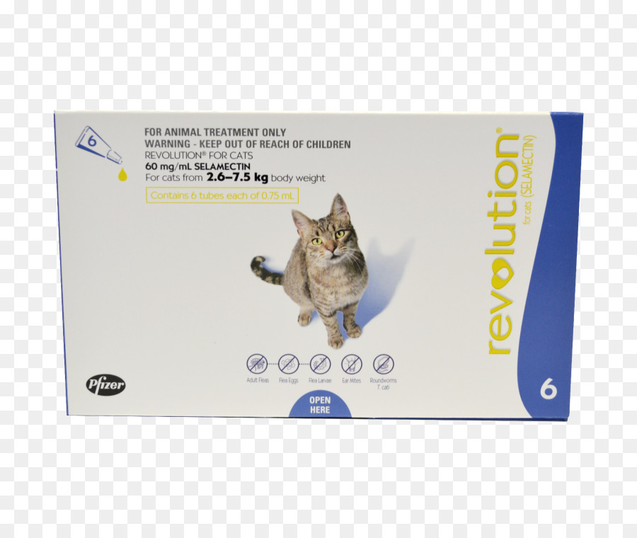 Caixa De Tratamento Para Gatos，Gato PNG