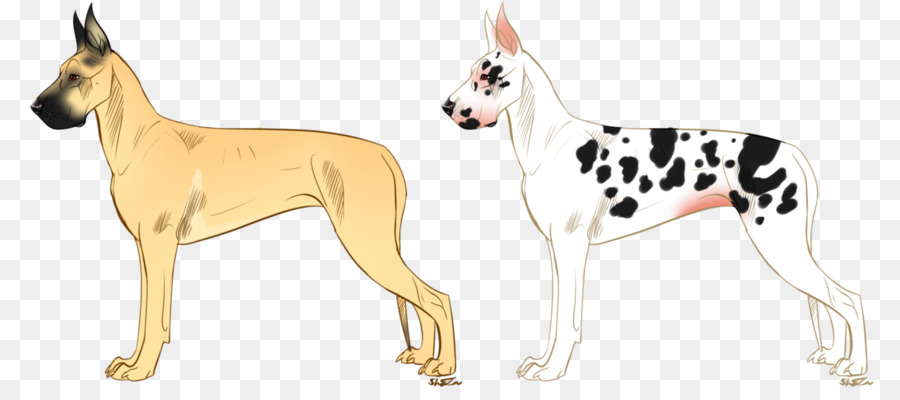 Great Dane，Raça Do Cão PNG