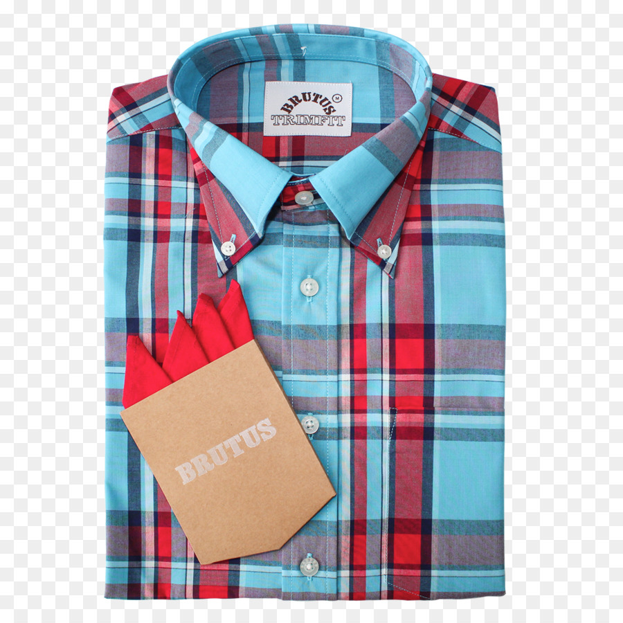 Vestido De Camisa，Tartan PNG