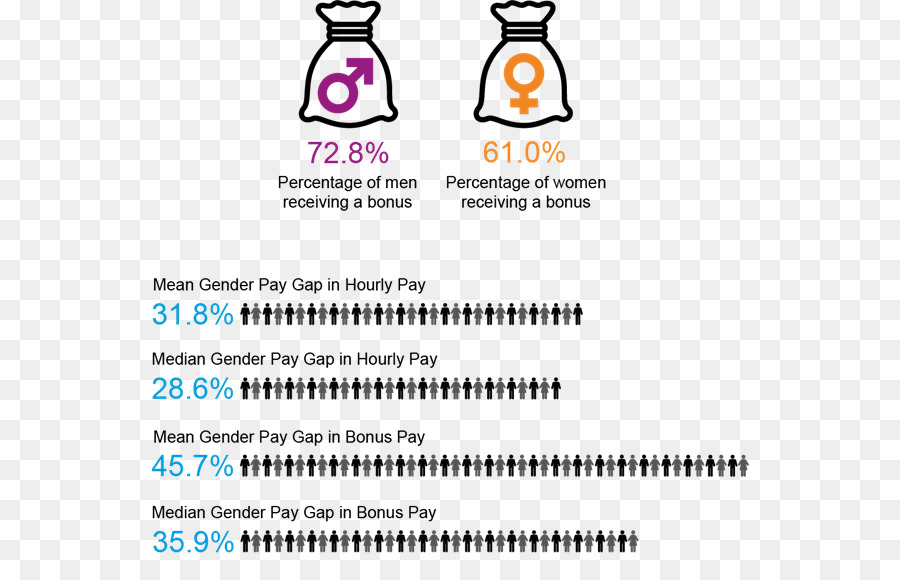 Disparidade Salarial Entre Os Sexos，A Lei Sobre A Igualdade De 2010 PNG