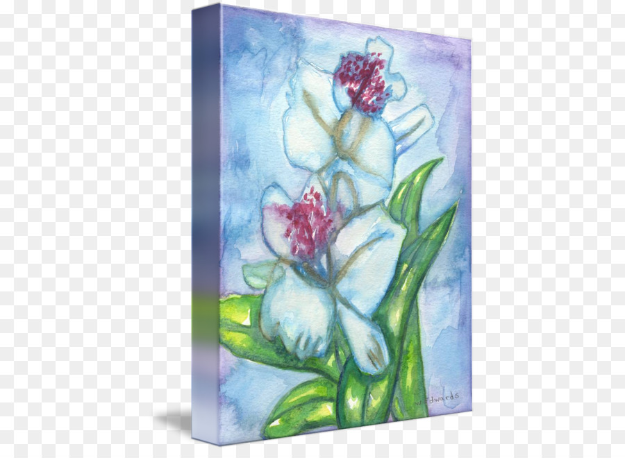 Design Floral，Pintura Em Aquarela PNG