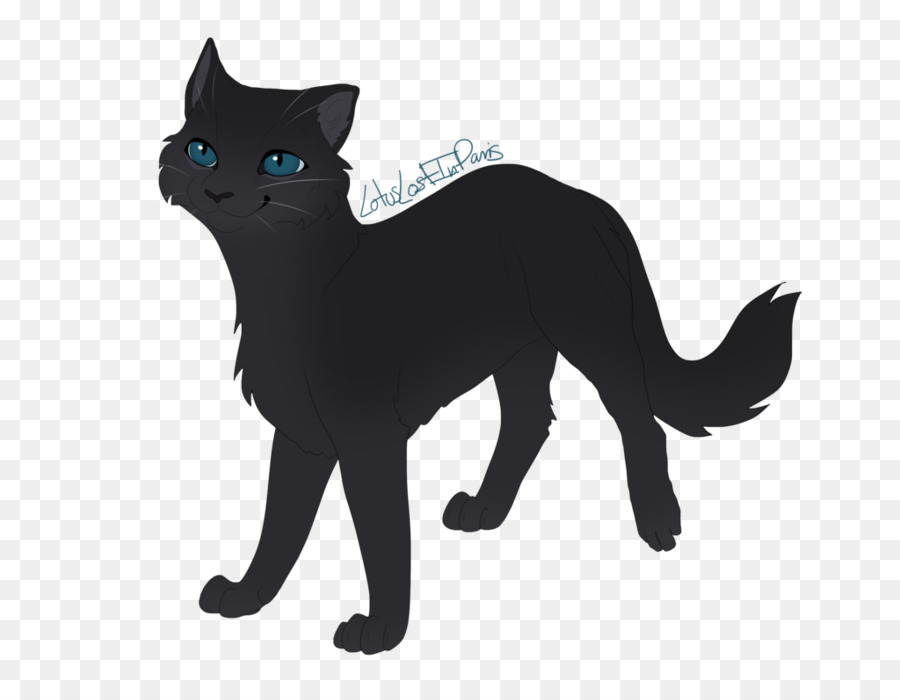 Gato Preto，Animal PNG