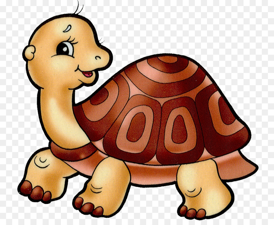 Turtle，Tartaruga Tartaruga PNG