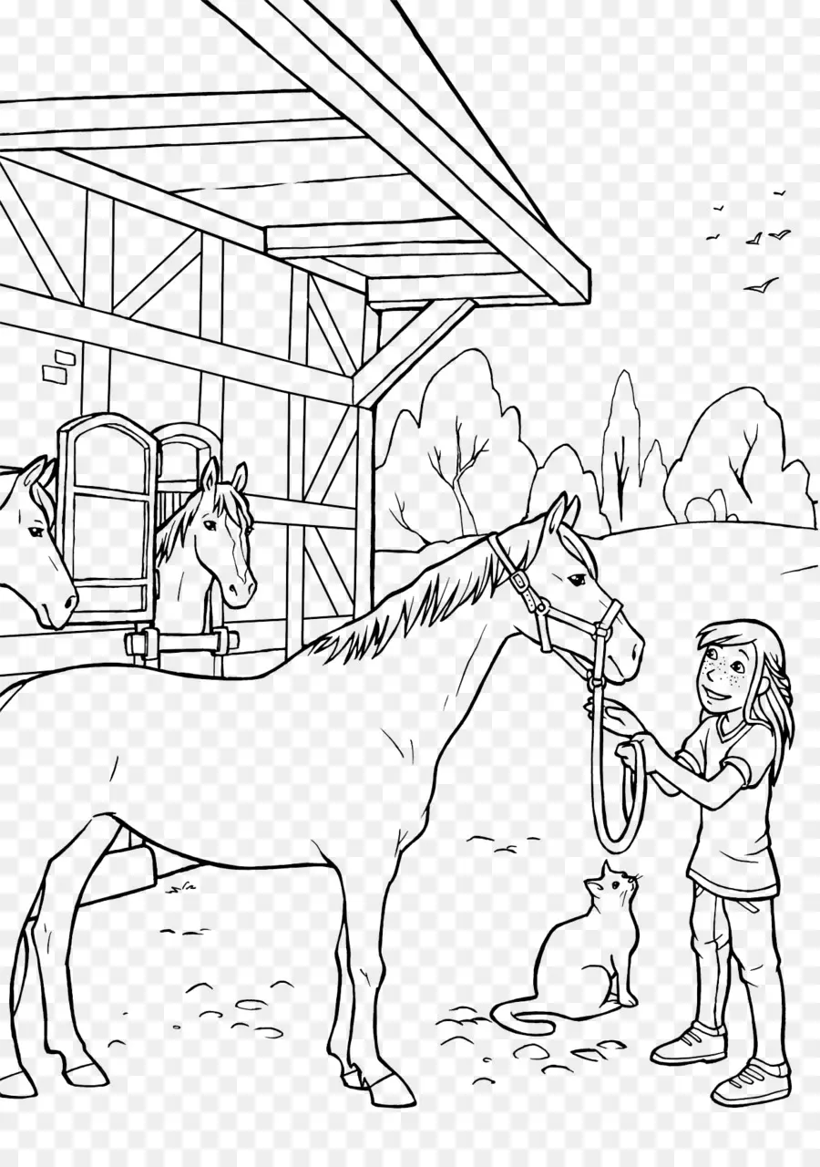 Menina Com Cavalo，Estável PNG