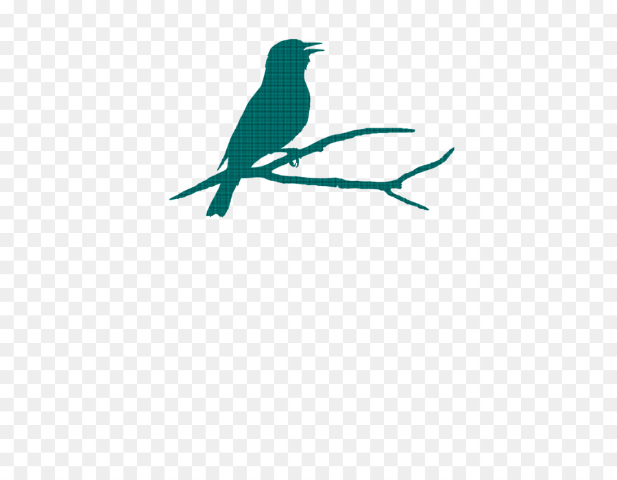 Bico，Teal PNG