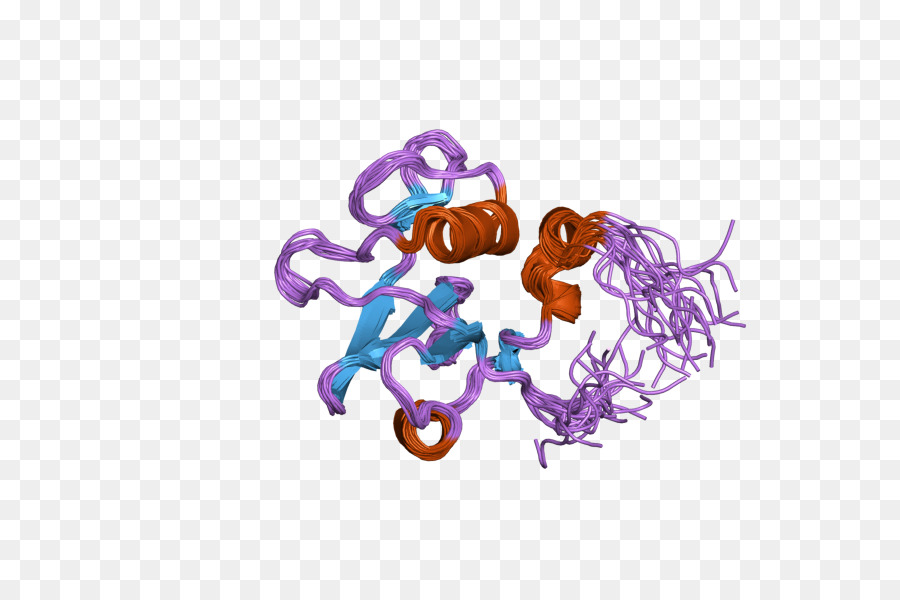 Estrutura Proteica，Molécula PNG