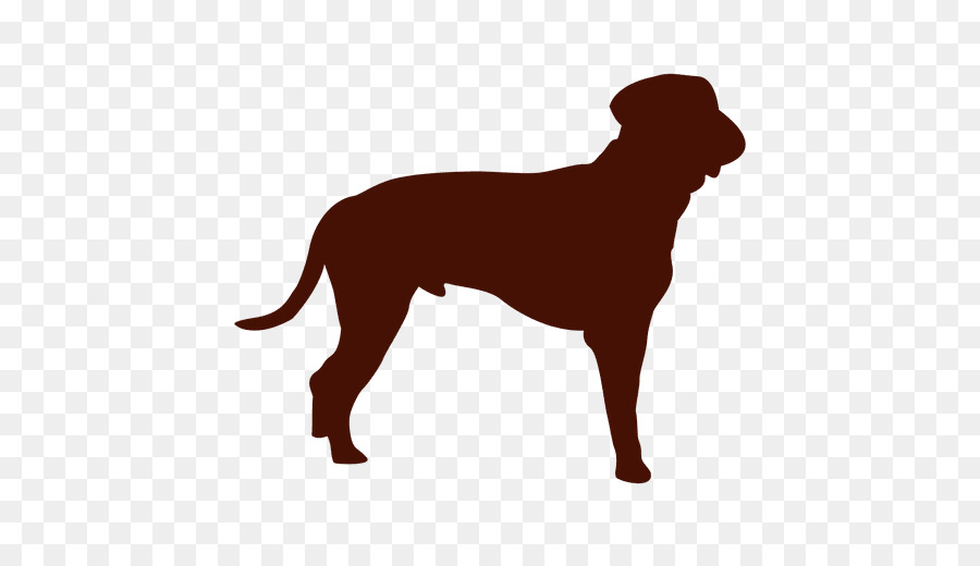 Labrador Retriever，Raça Do Cão PNG