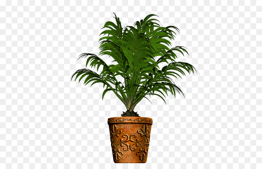 Erva，Planta PNG