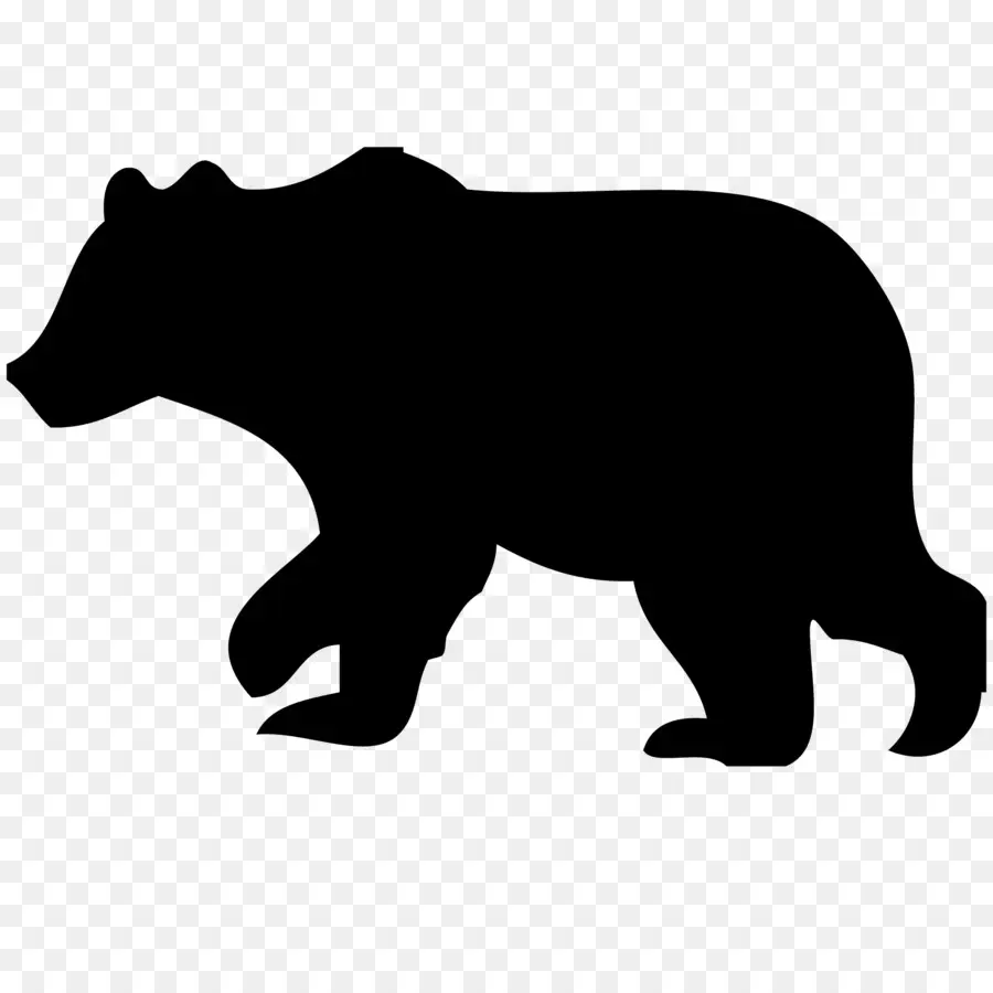 Americano Urso Preto，Urso PNG