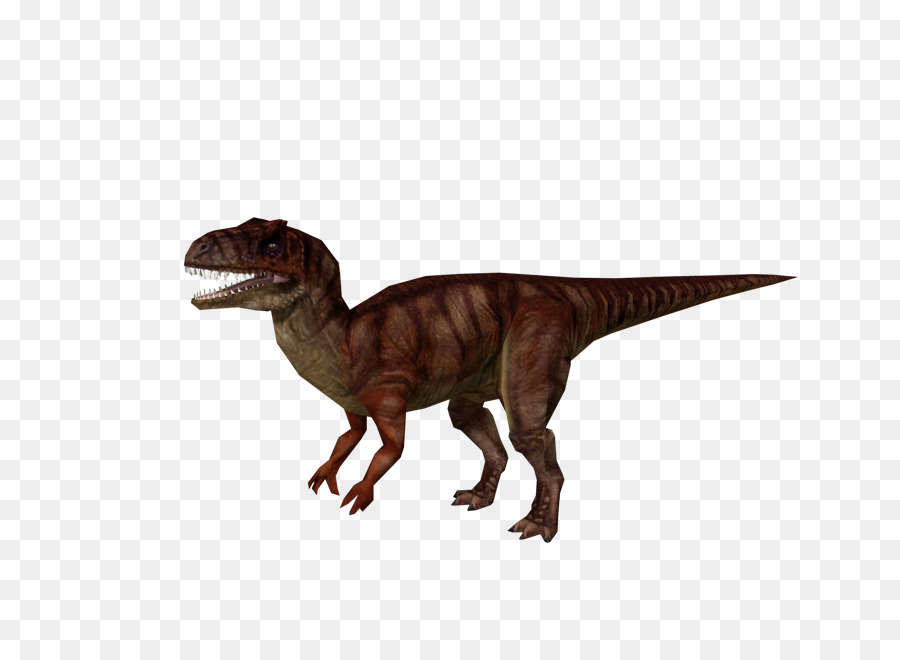 Tiranossauro，Velociraptor PNG