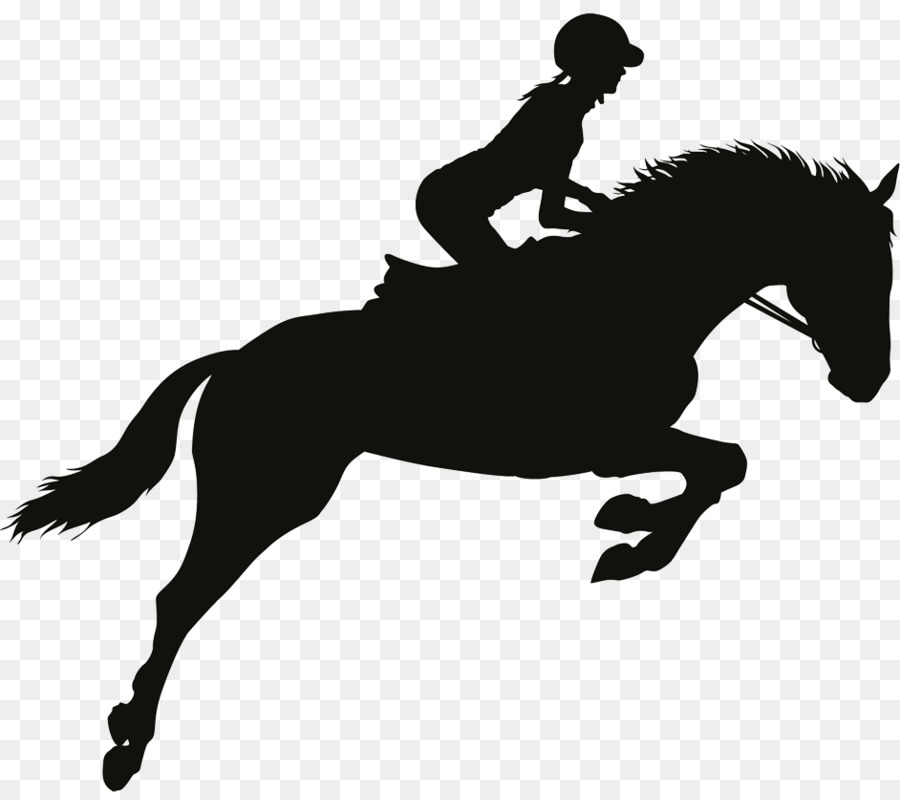 Cavalo, Cavalos De Salto, Show Jumping png transparente grátis