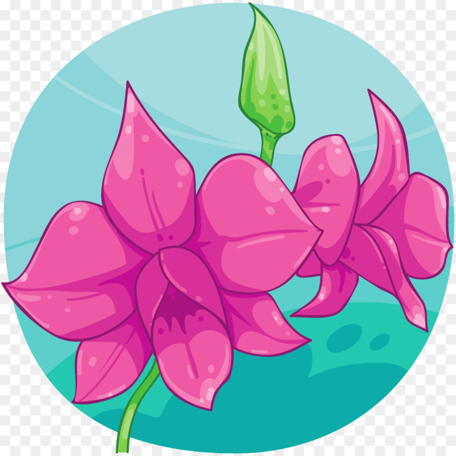 Design Floral，Orquídea PNG