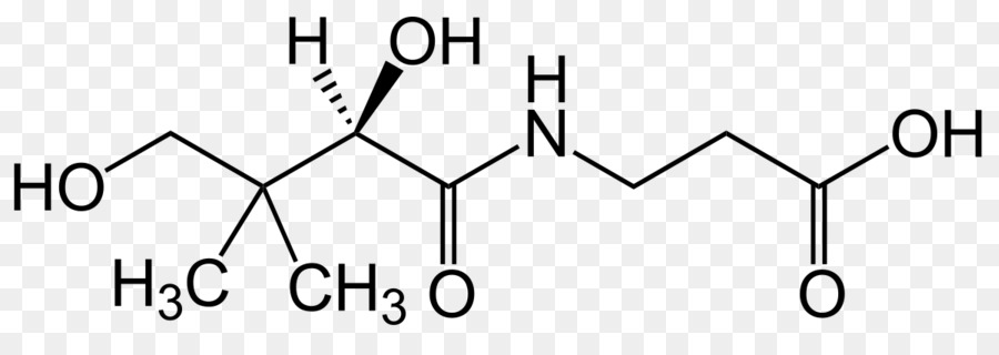 Suplemento Alimentar，O ácido Pantoténico PNG