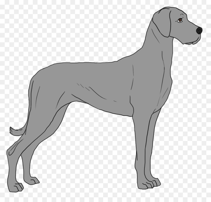 Cachorro Correndo，Branco PNG