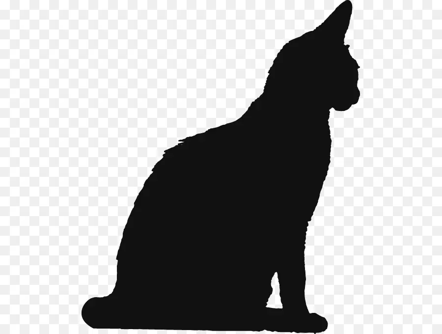 Gato Preto，Silhueta PNG