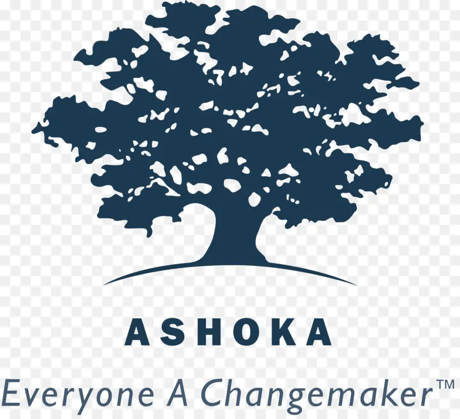 A Ashoka Inovadores Para O Público，Organização PNG