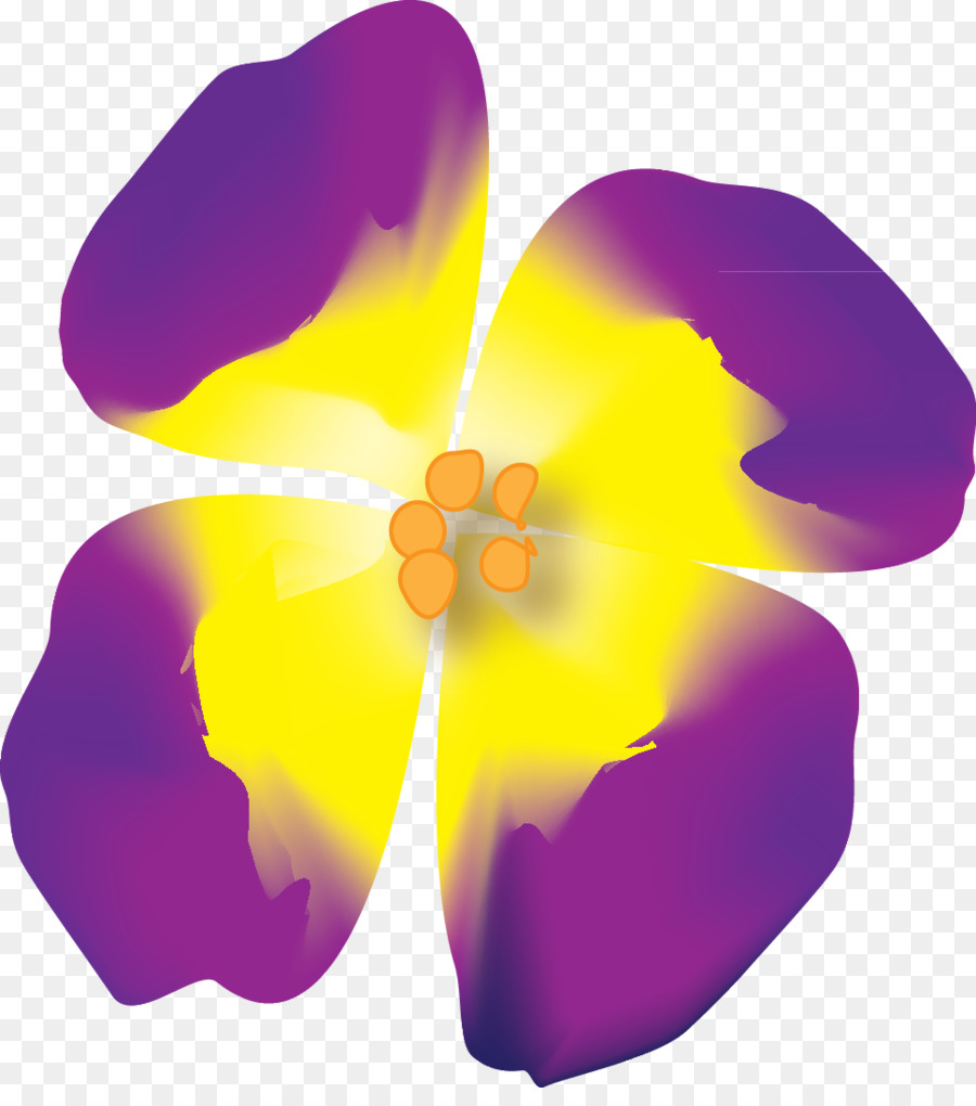 Violeta，Violaceae PNG