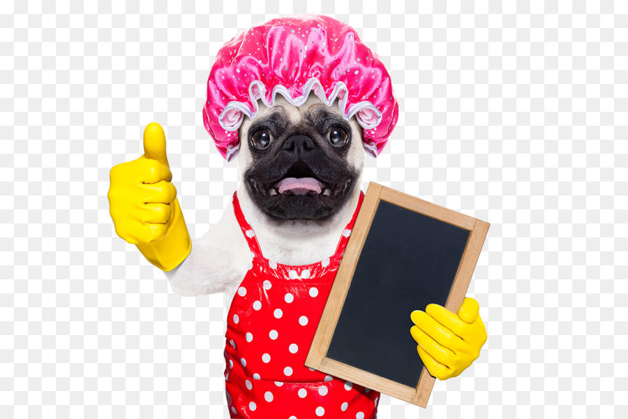 Cachorro Fantasiado，Roupa PNG