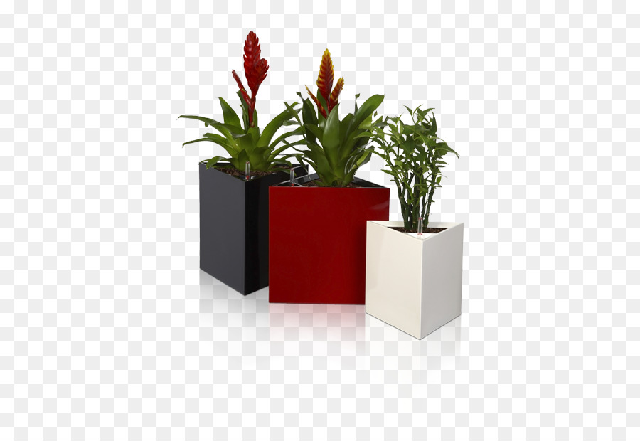 Flowerpot，Jardim PNG