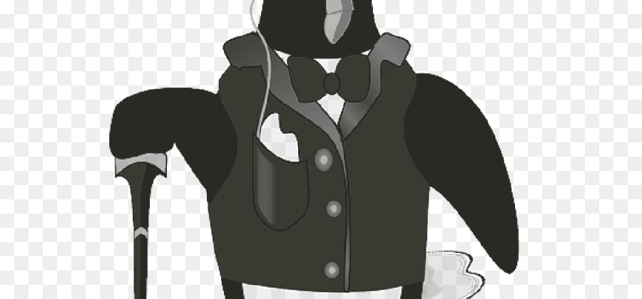 Penguin，Aves PNG