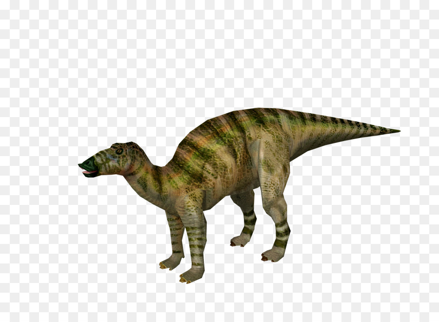 Velociraptor，Tiranossauro PNG