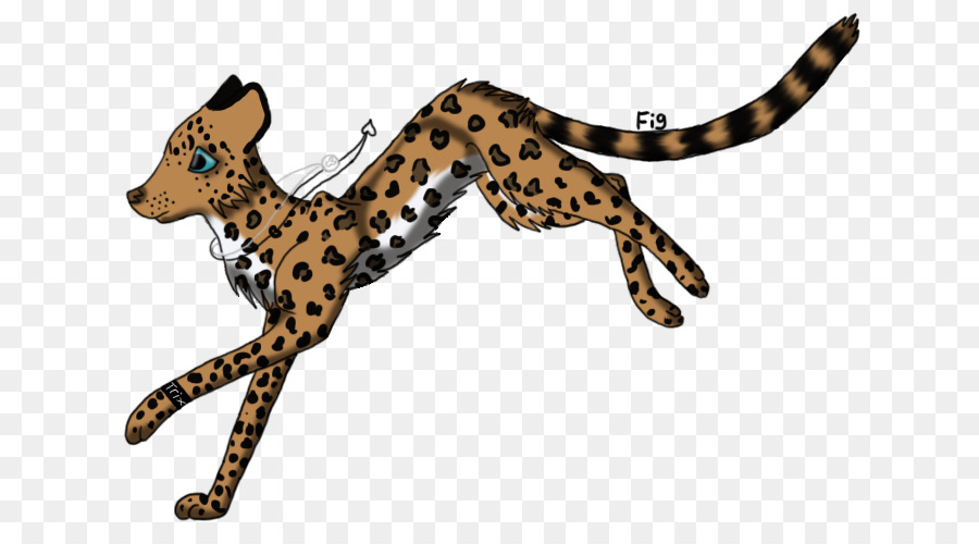 Cheetah，Leopard PNG