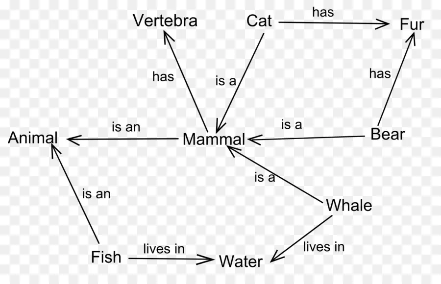 Diagrama De Classificação Animal，Classificação PNG