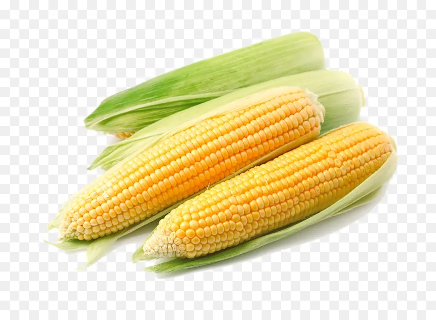 Maize，De Cereais PNG