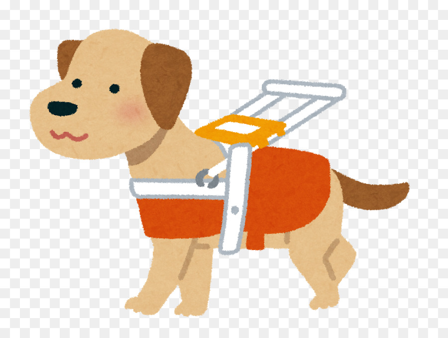 Labrador Retriever，Cão Guia PNG