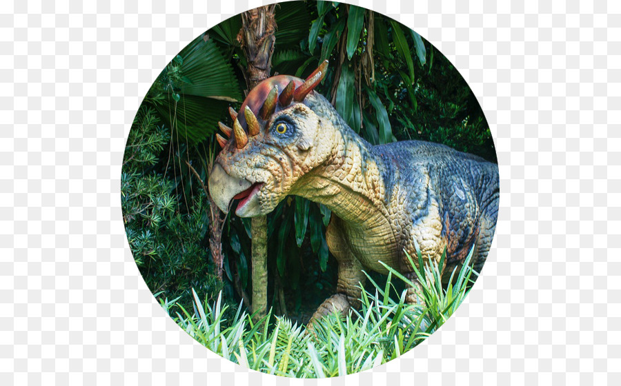 Tiranossauro，Dinossauro PNG