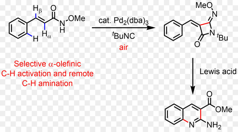 Benzimidazol，Carbonhydrogen Bond Ativação PNG