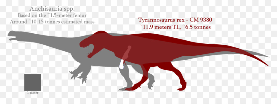 Tiranossauro，Velociraptor PNG