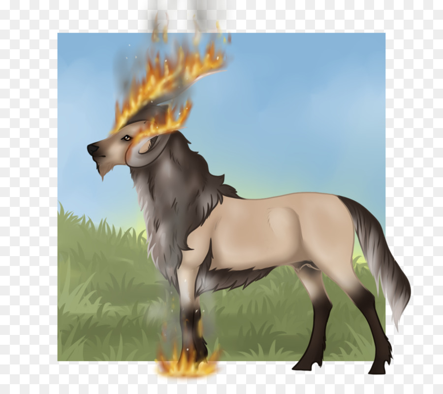 Mustang，Burro PNG