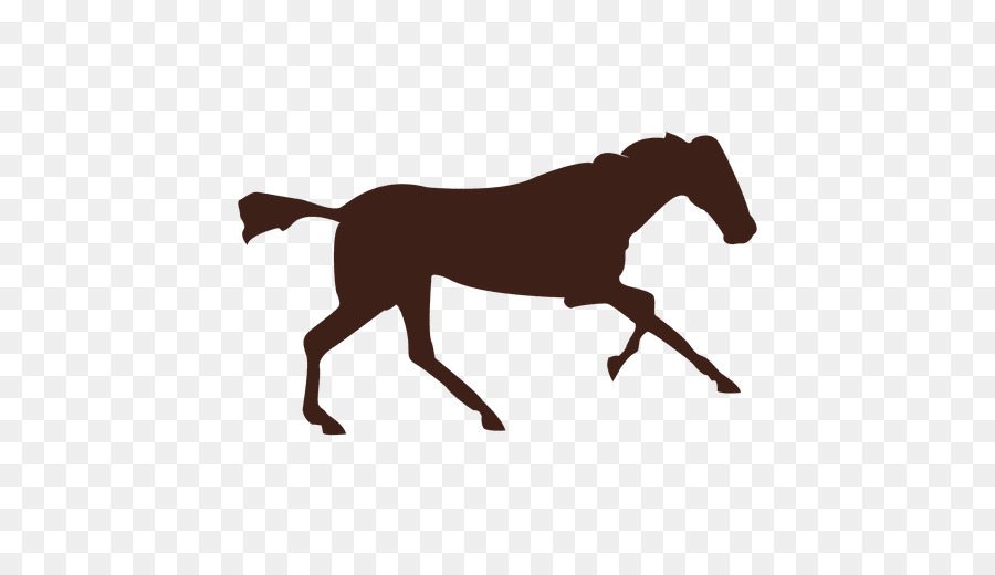 Cavalo Preto，Cavalo PNG