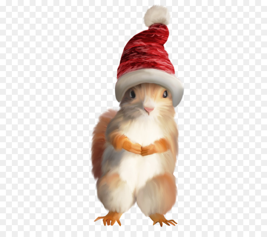 Esquilo Fofo，Chapéu De Papai Noel PNG