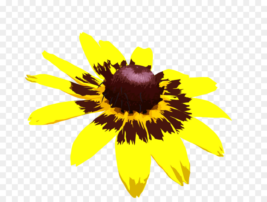 Girassol Amarelo，Flor PNG