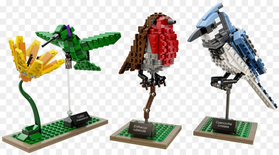 Lego Aves Les Briques S Envolent，Lego Ideias PNG